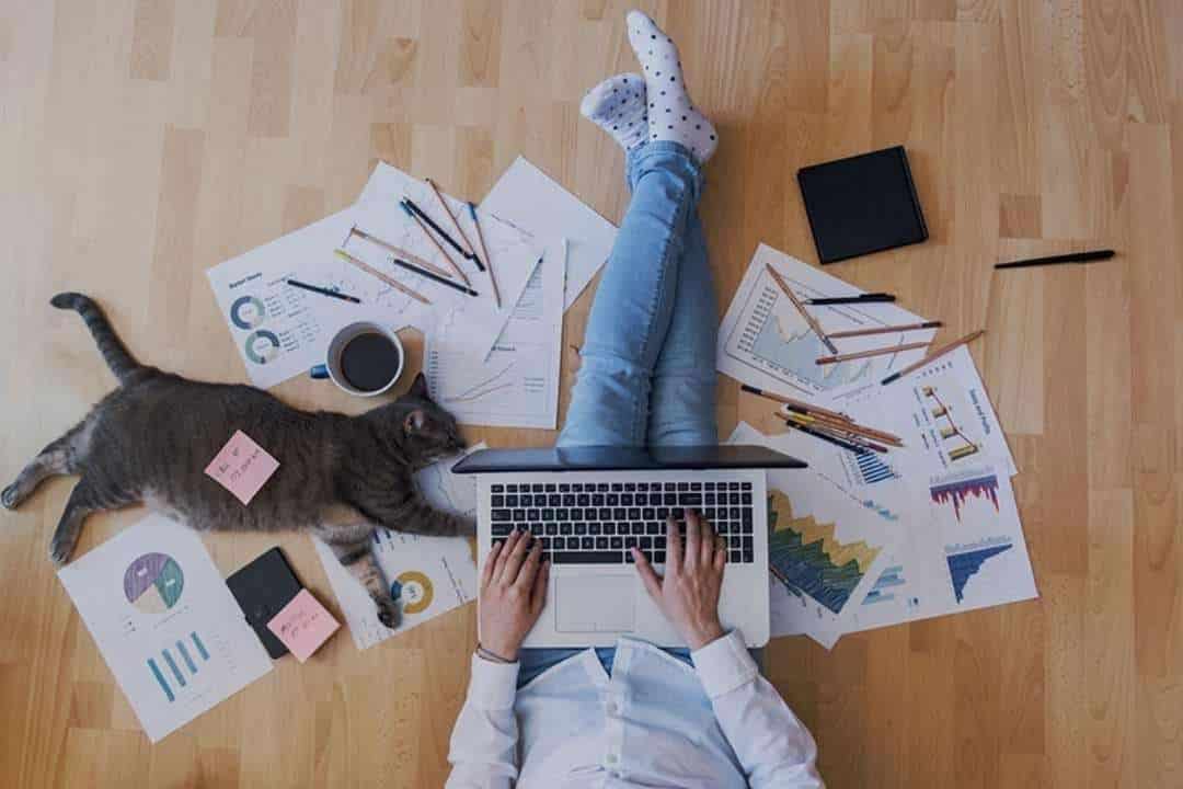 13 Ways to make working from home easier laptop cat work from home