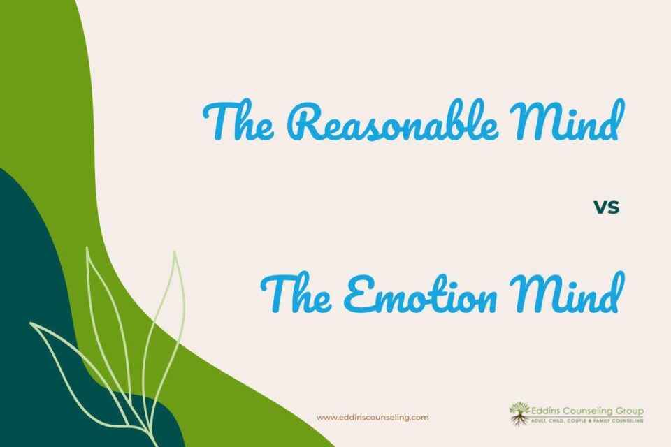 reasonable vs emotional minds