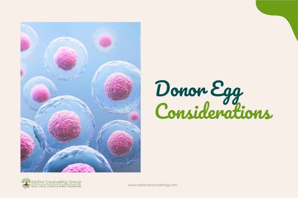 donor egg 