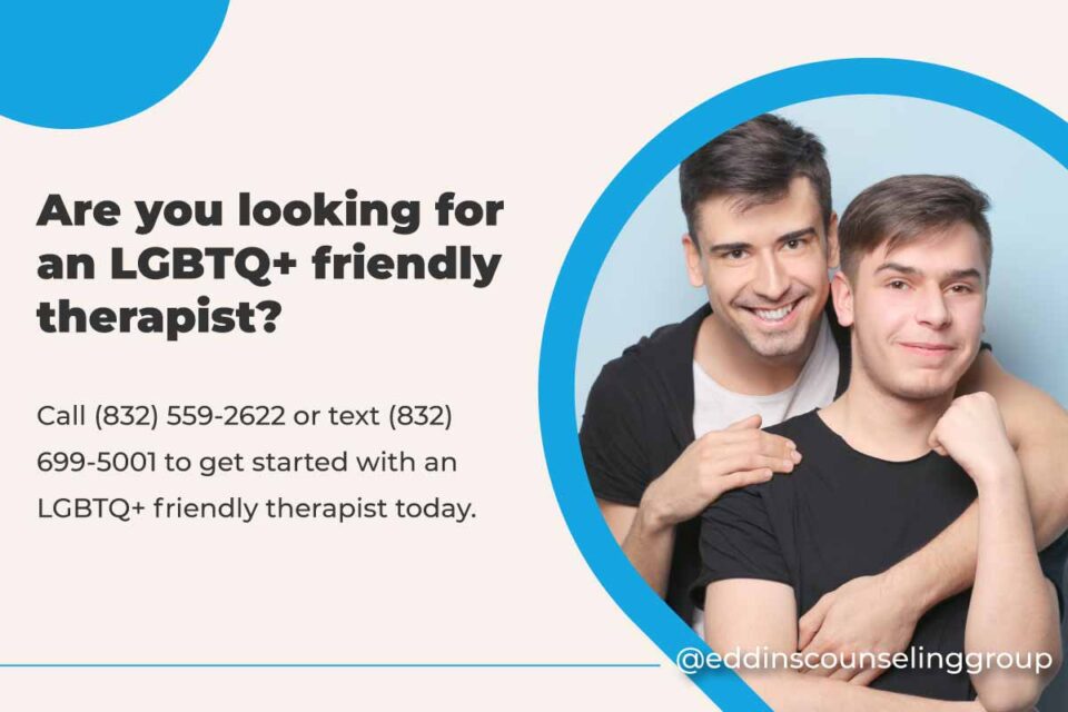 gay couple looking for LGBTQ friendly therapist in Houston, TX or online