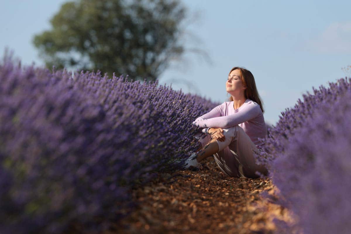 EMDR therapy, woman sitting in lavender field