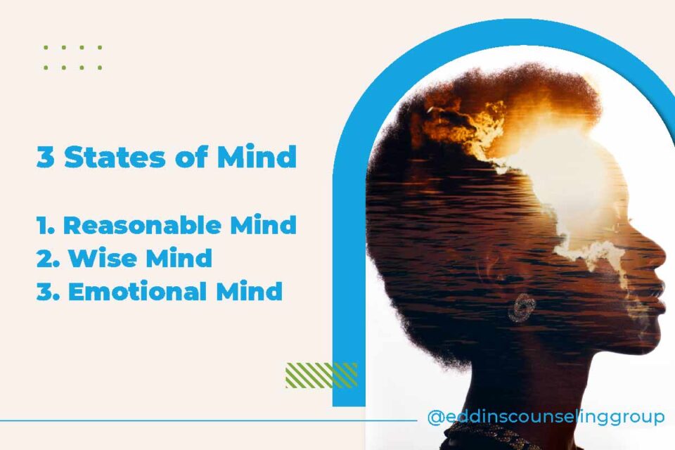 reasonable mind, wise mind, and emotional mind