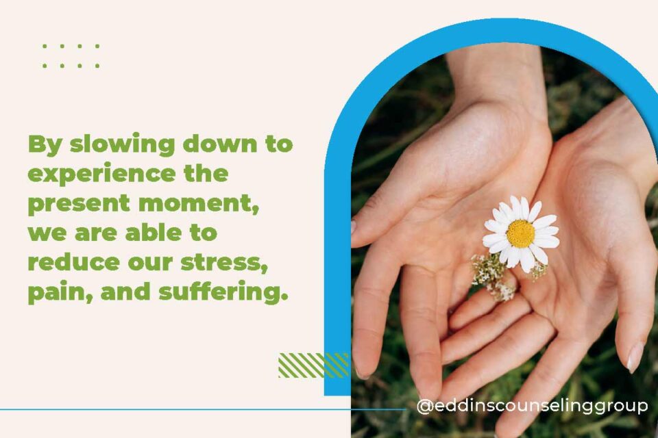 hands holding flower, how to be mindful