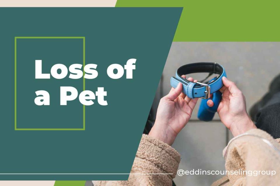 the loss of a pet is one reason to go to grief counseling