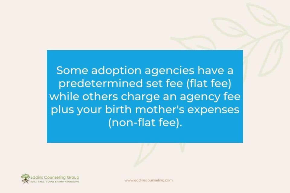 adoption agencies and fees