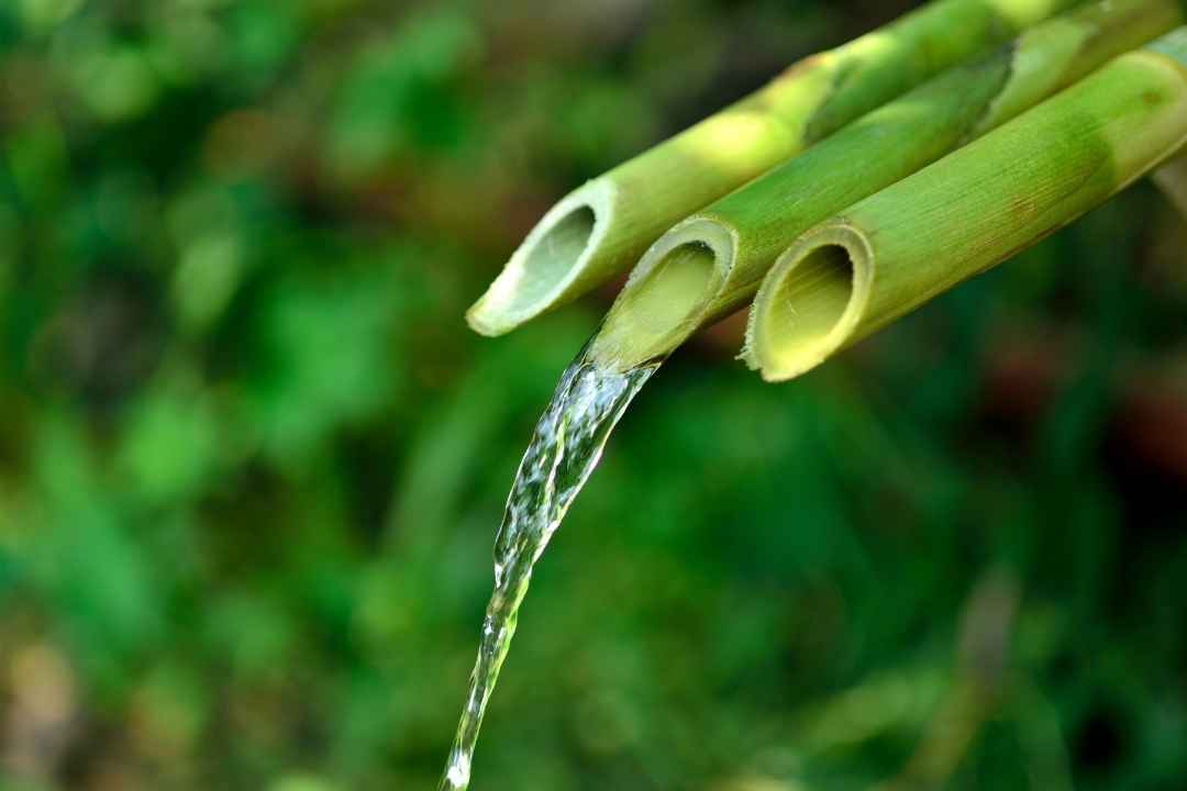 bamboo positive affirmations positive self-talk