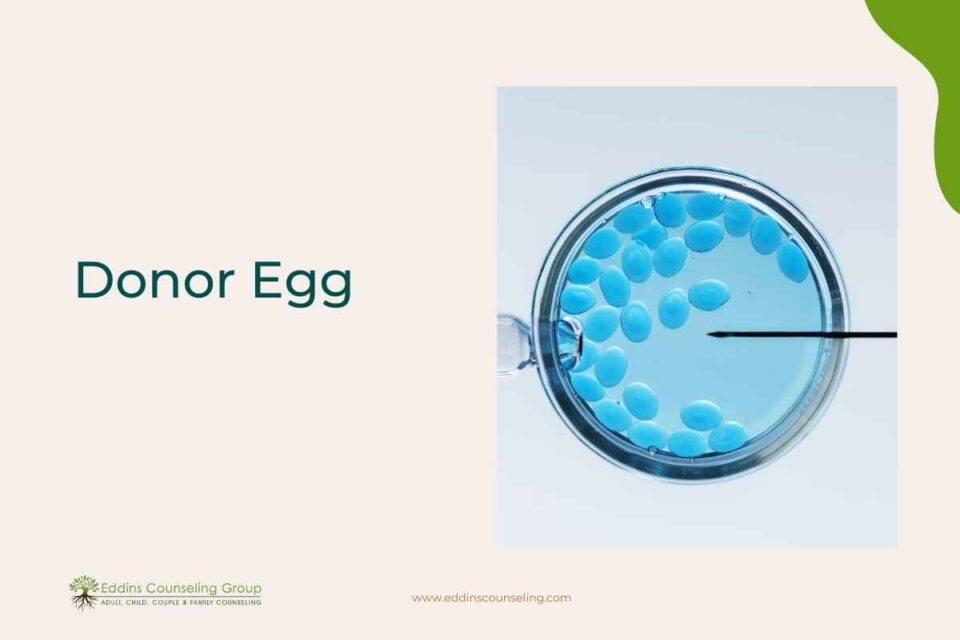 parenthood donor egg