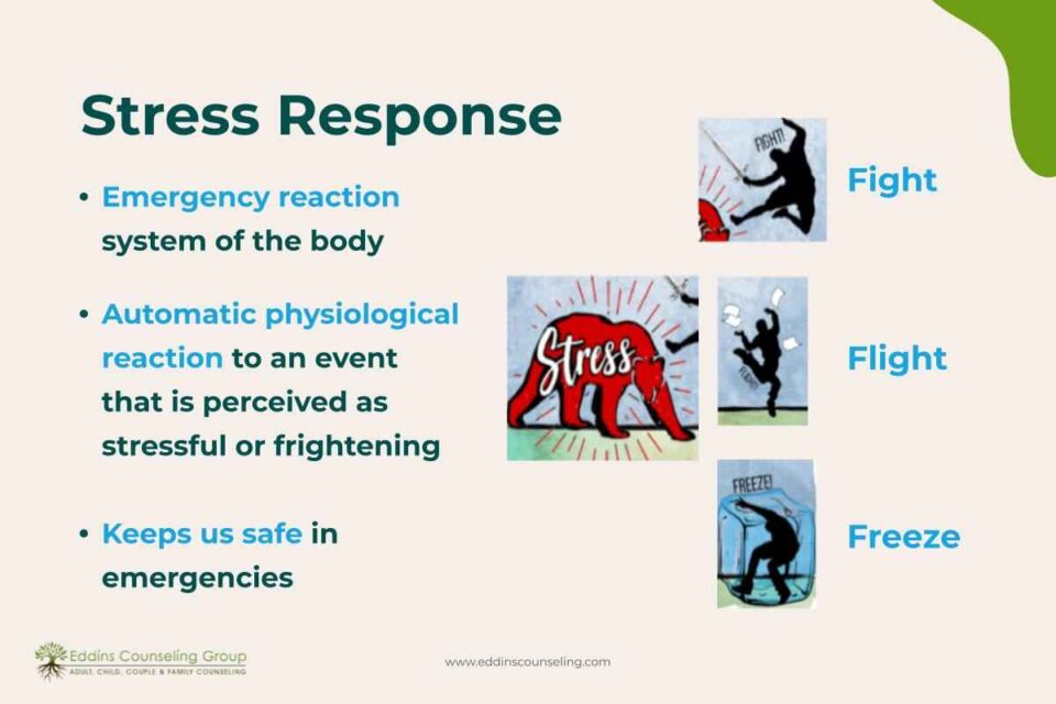 stress response, fight flight or freeze