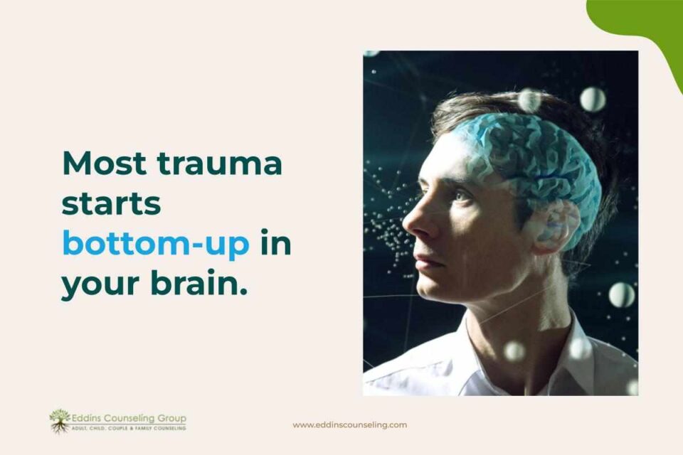 person's brain and trauma starts bottom up in brain