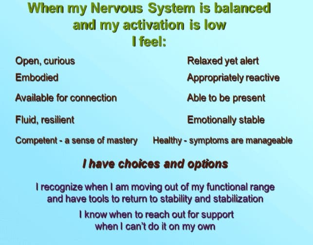 Balanced nervous system