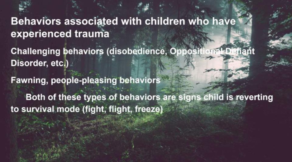 Behaviors associated with children who have experienced trauma