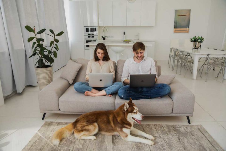 Couples working from home