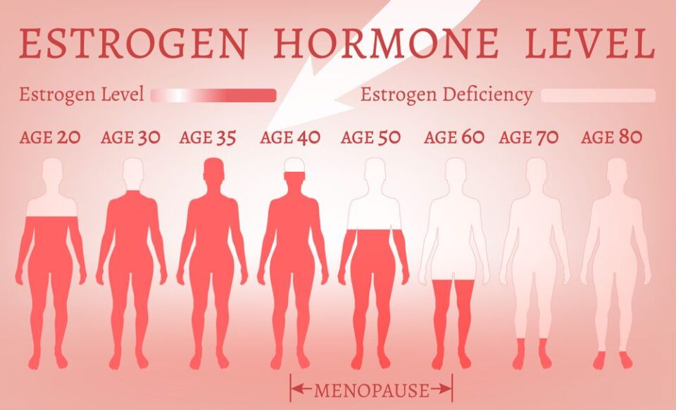 Estrogen hormone levels chart