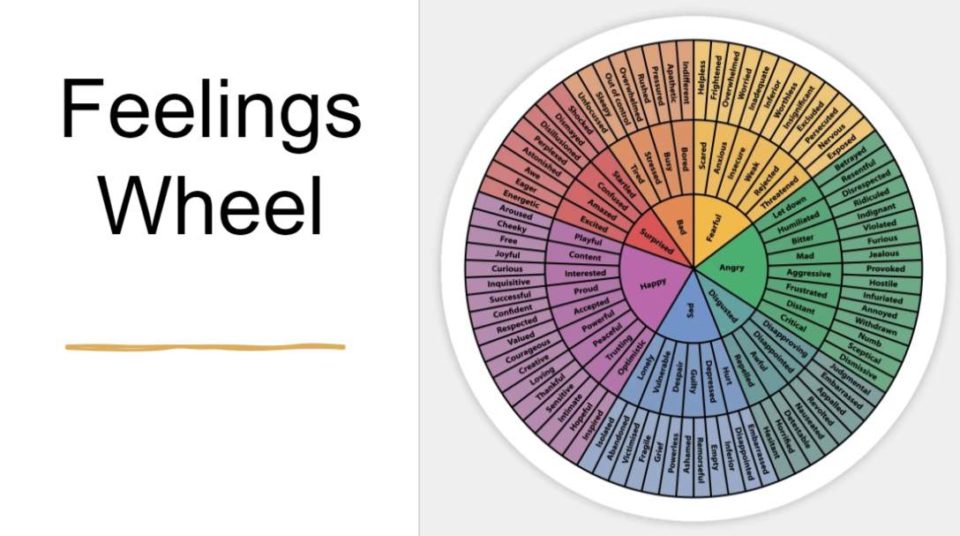 Feelings Wheel - Intuitive Eating webinar