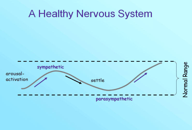 Healthy nervous system