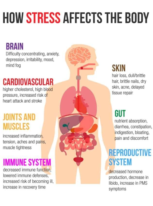 How stress affects the body
