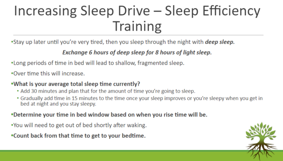 Increasing Sleep Drive