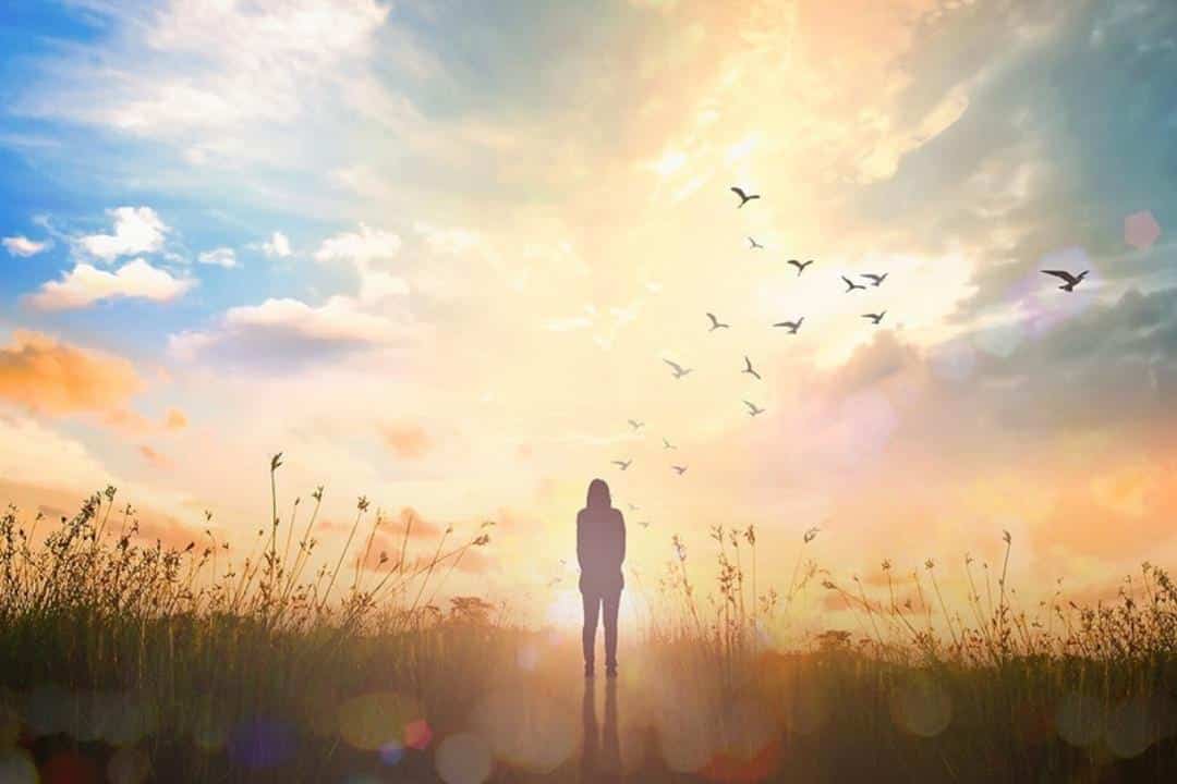 Mental Health what it is and how to improve it person standing in field sunset