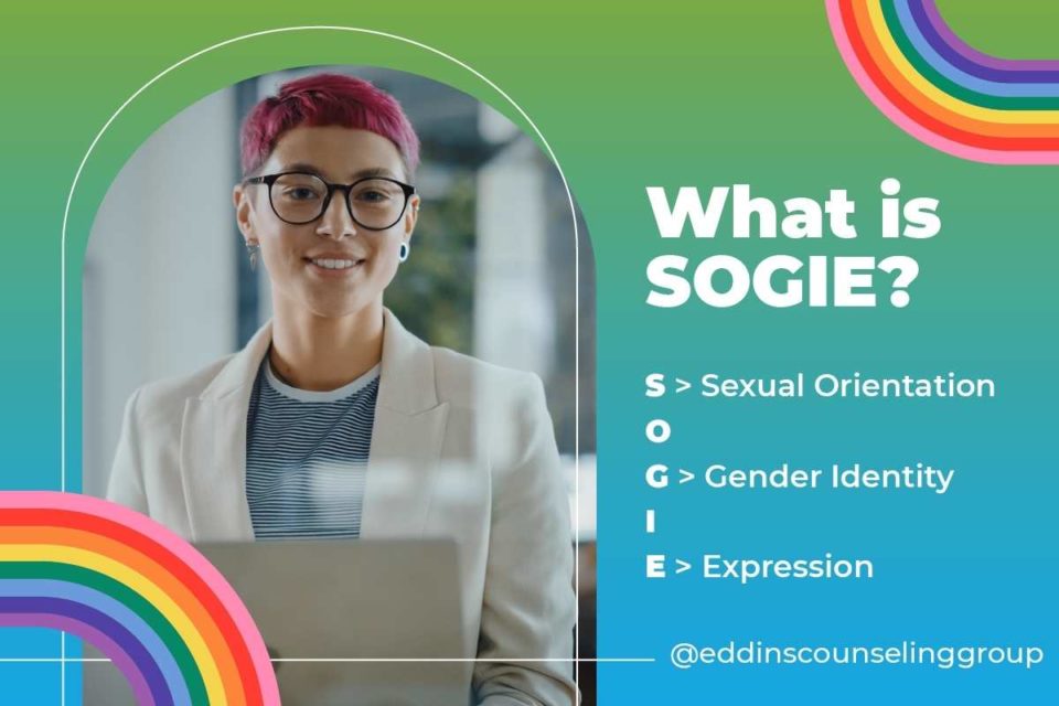 sexual orientation, gender identity, and gender expression