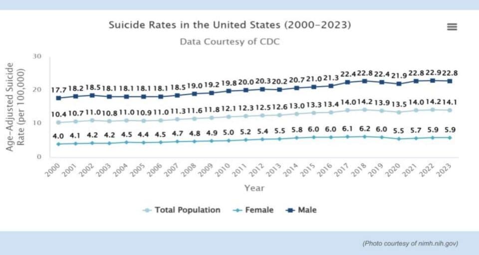 Suicide Rates in the USA