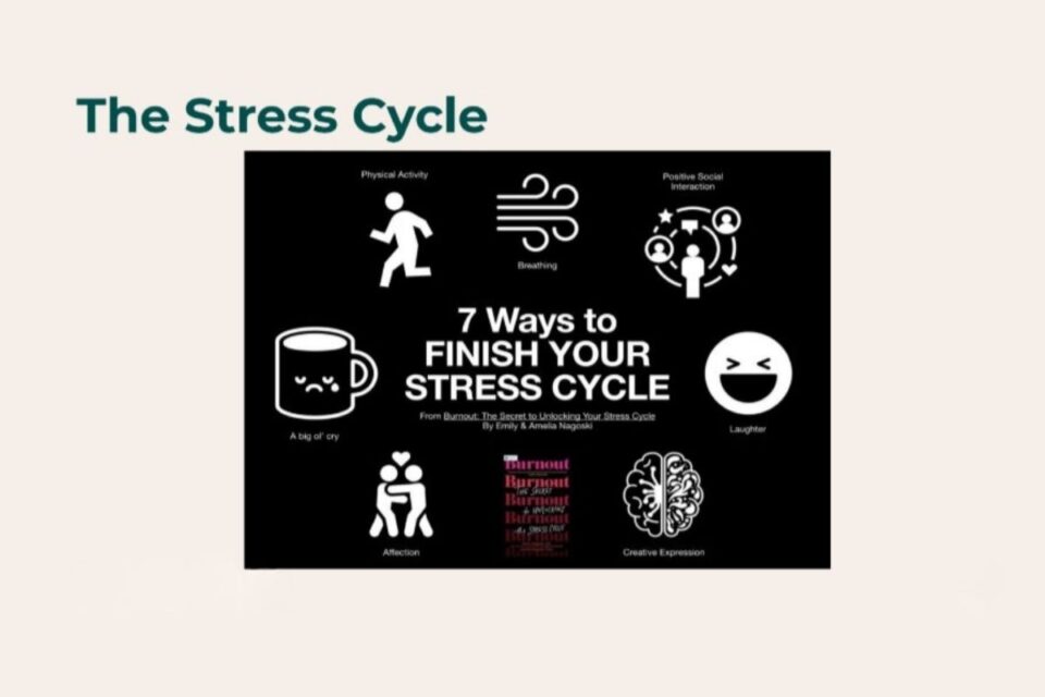 The Stress Cycle