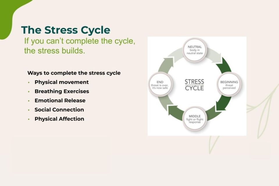 The Stress Cycle