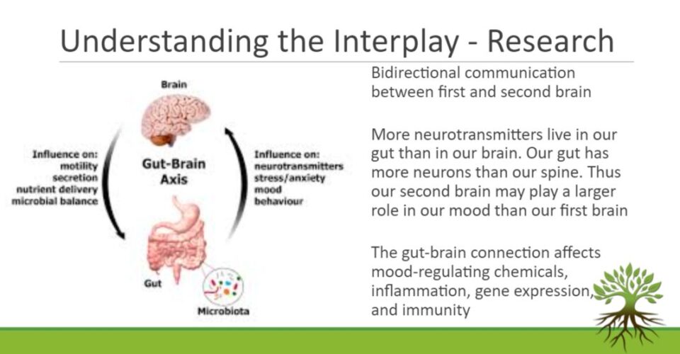 Understanding the Interplay - Research