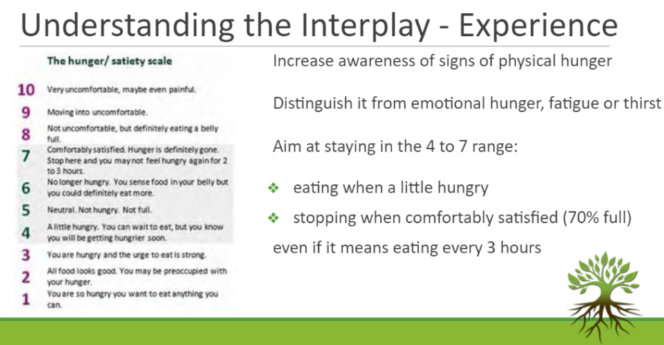 Understanding the interplay - experience 3