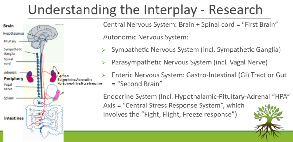 Understanding the interplay - experience 4