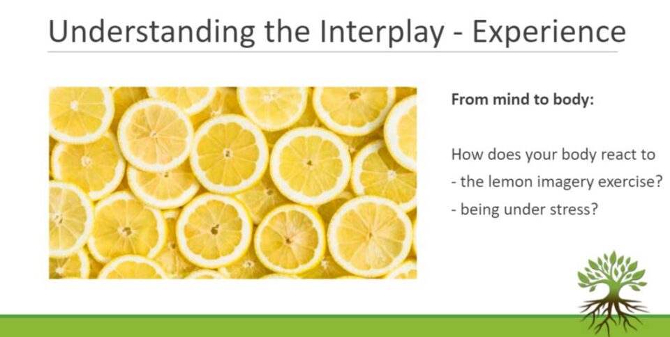 Understanding the Interplay - Experience