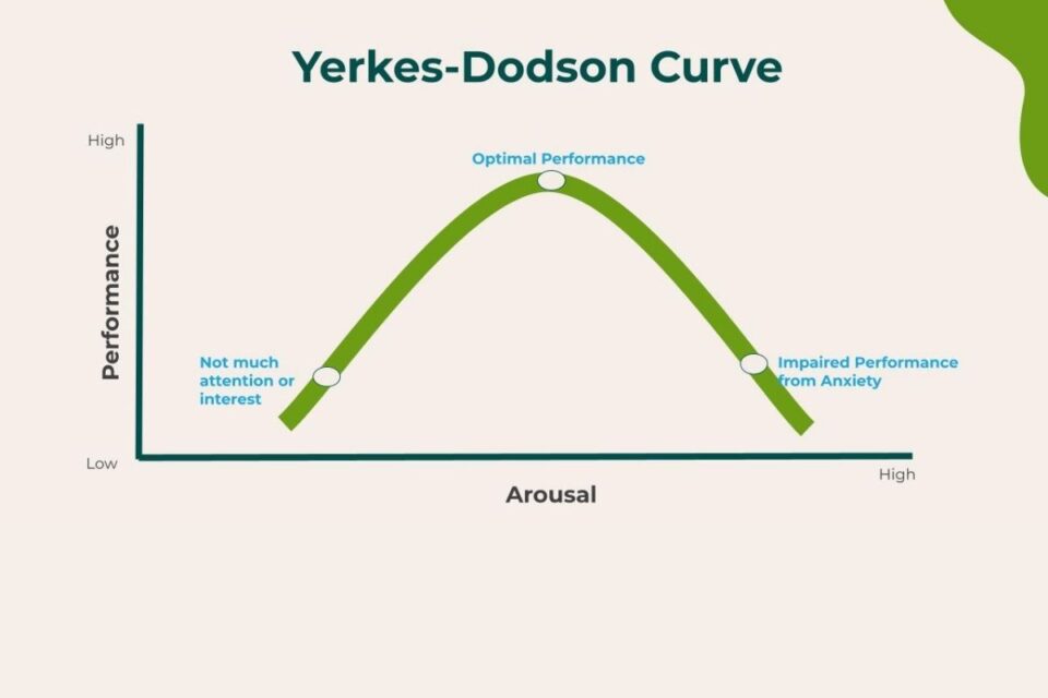 Yerkes-Dodson Curve