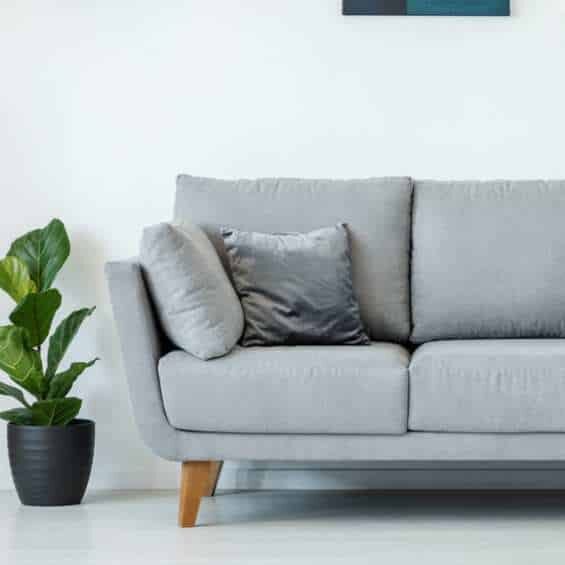 therapist couch in a dbt skills group