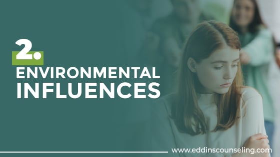 Environmental Influences