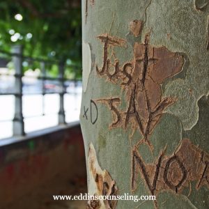 tree in houston texas park with "just say no" carved in it