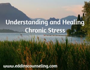 Understanding and Healing Chronic Stress