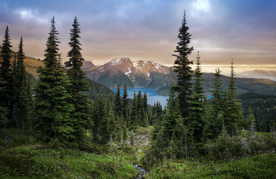 Image of a mountain range with green pine trees. Are you in Seattle or Spokane and interested in online therapy? No matter where you are our online therapist in Washington can help support your mental health. Reach out to start online counseling in Washington today! Call now.